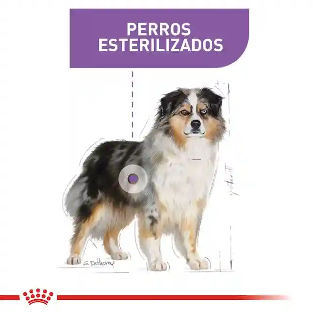 Royal Canin Sterilised medium - Image 5