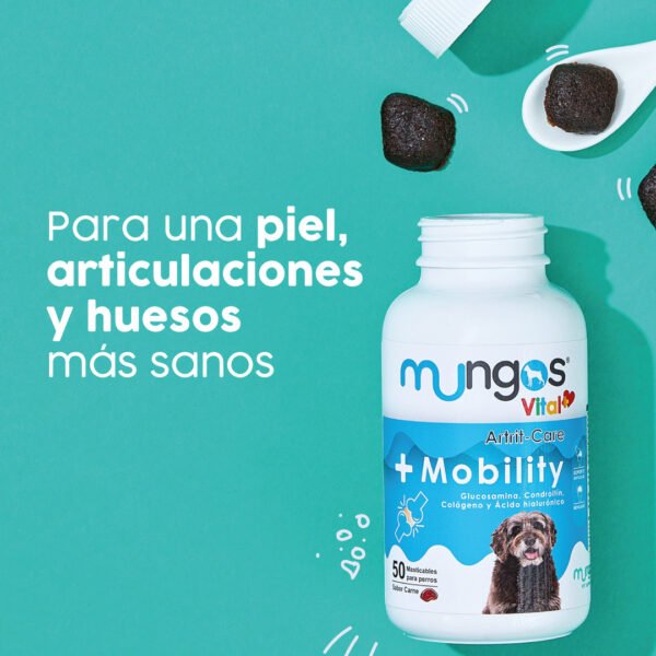 Mungos Mobility dogs x 50 masticables