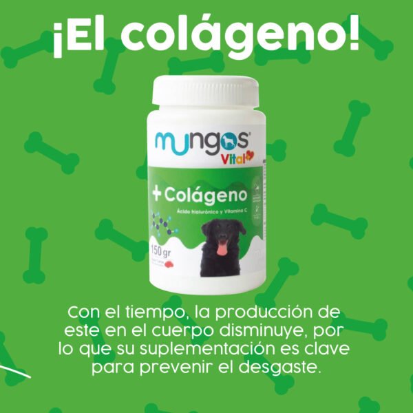 Mungos Colágeno dogs - 150 gr - Polvo