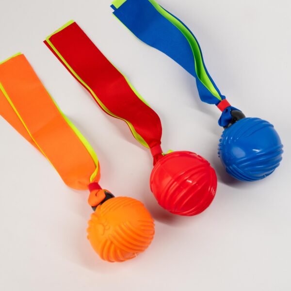 Juguete pelota