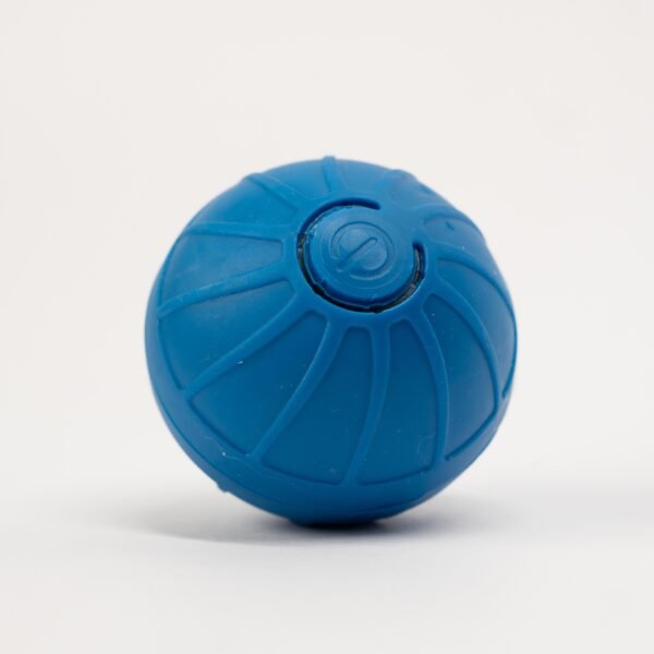 Pelota