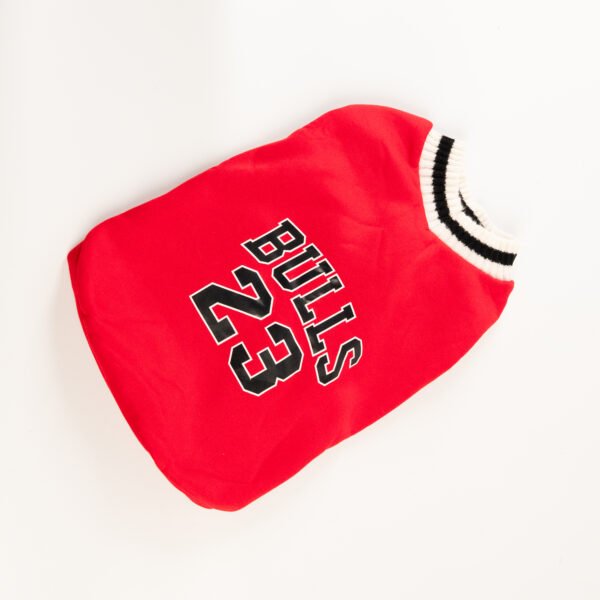 Buzo Bulls