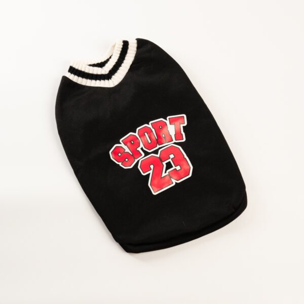 Camiseta sport