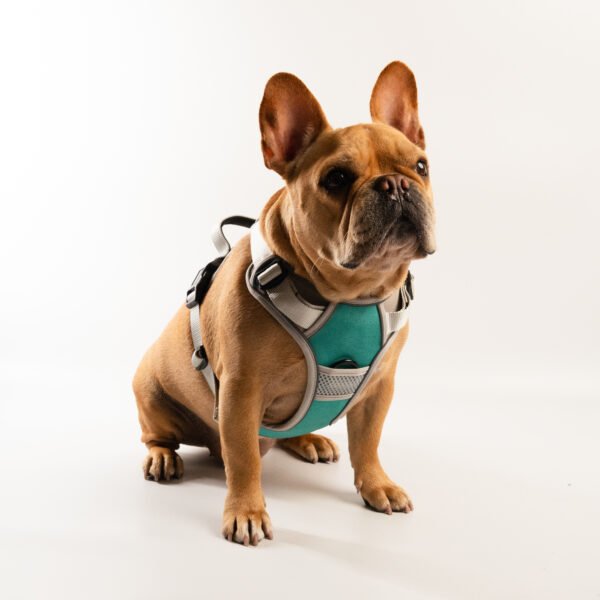 Pechera soft- walk, con agarre seguro